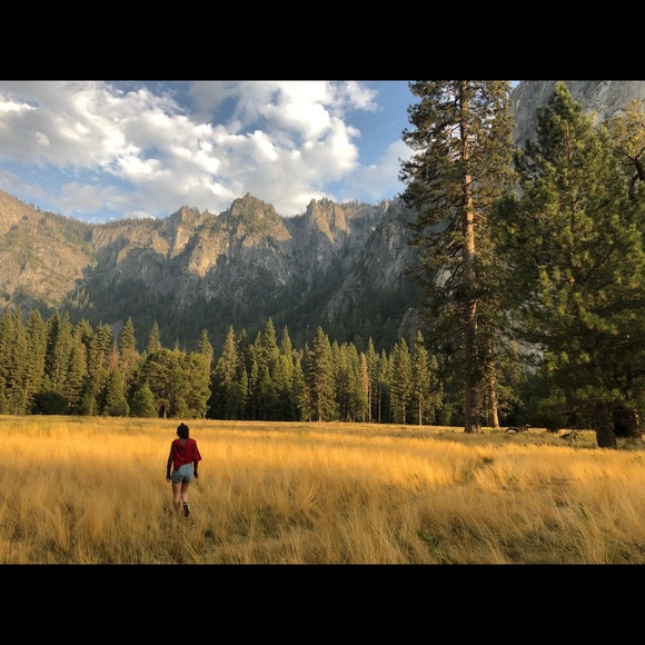 Meet your Posher, Lulu - Picture 1 of 1